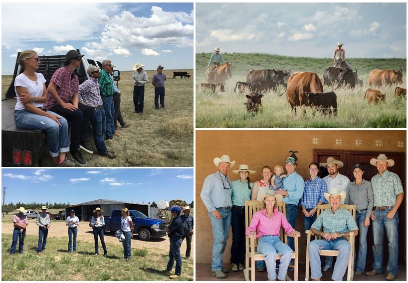Case Study: Flying Diamond Ranch – On Land