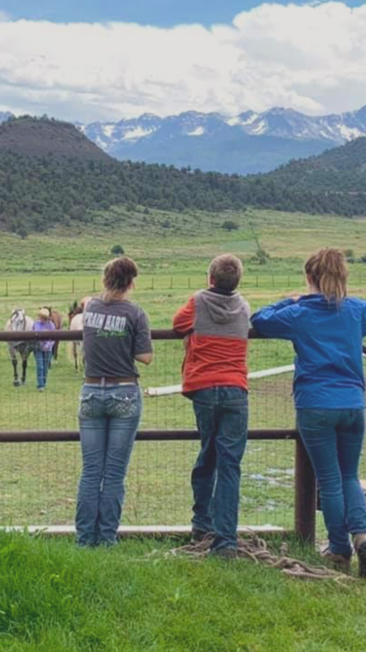 A group of youth in foster care watch the mustang herd they just worked with. Photo by the author.