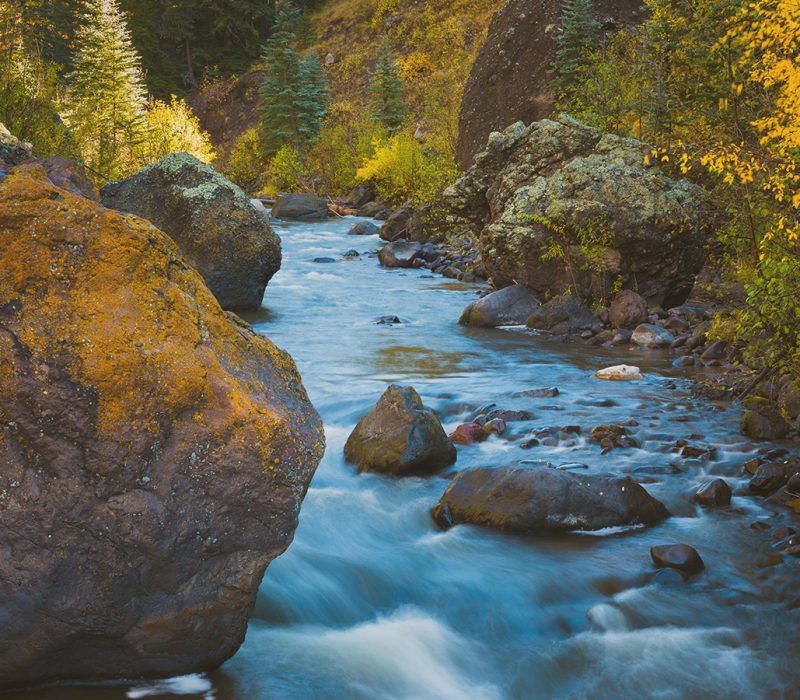 A stream on the Rancho del Oso Pardo shrouded in fall colors. Photo is by Adam Schallau.