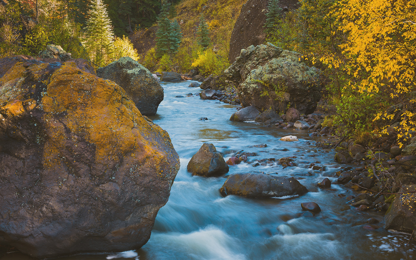 A stream on the Rancho del Oso Pardo shrouded in fall colors. Photo is by Adam Schallau.