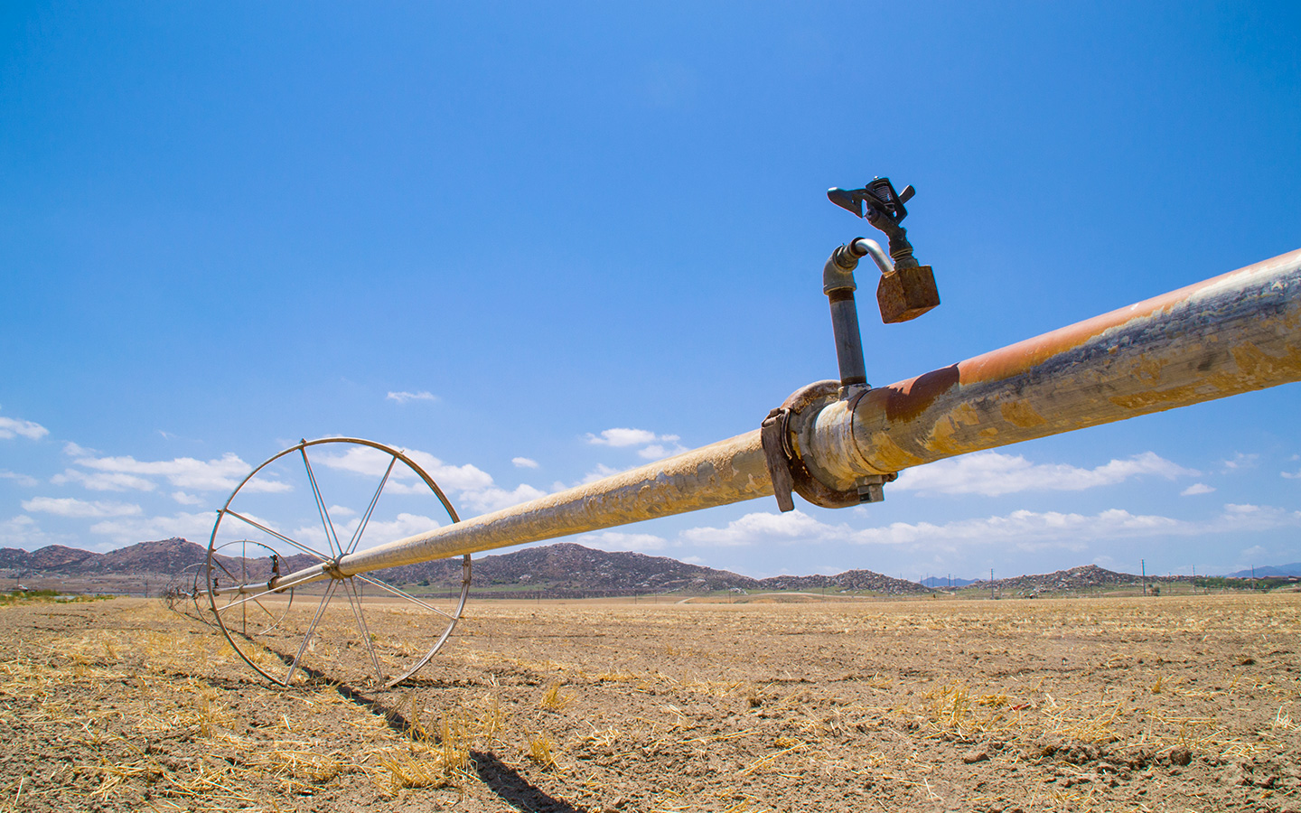 In New Mexico, Pecos River Sustains Communities, Traditions, and Wildlife