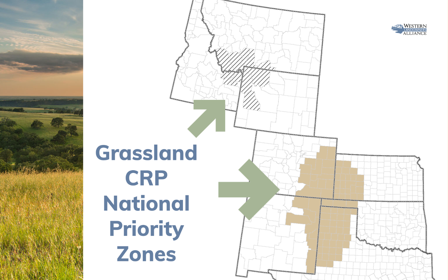 What landowners need to know about Grassland CRP ahead of the August 20