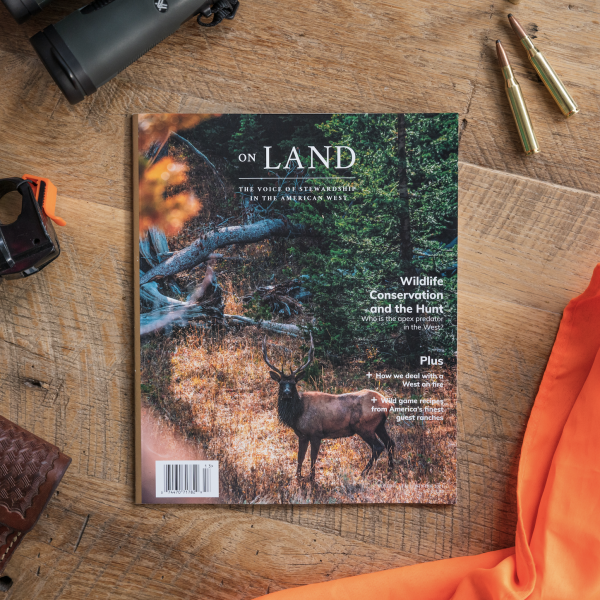 On Land Magazine Volume 3