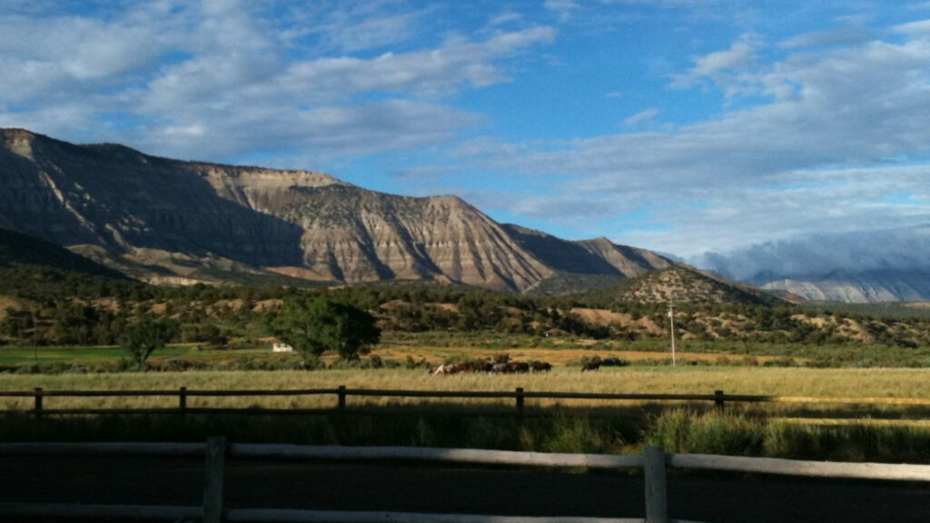 From water rights to fence lines: A checklist for prospective ranch ...