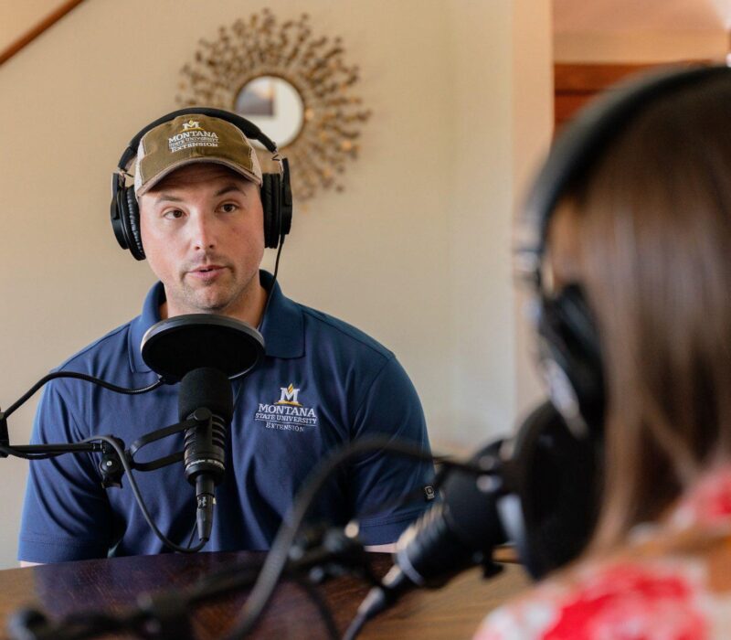 Host of Working Wild U podcast.