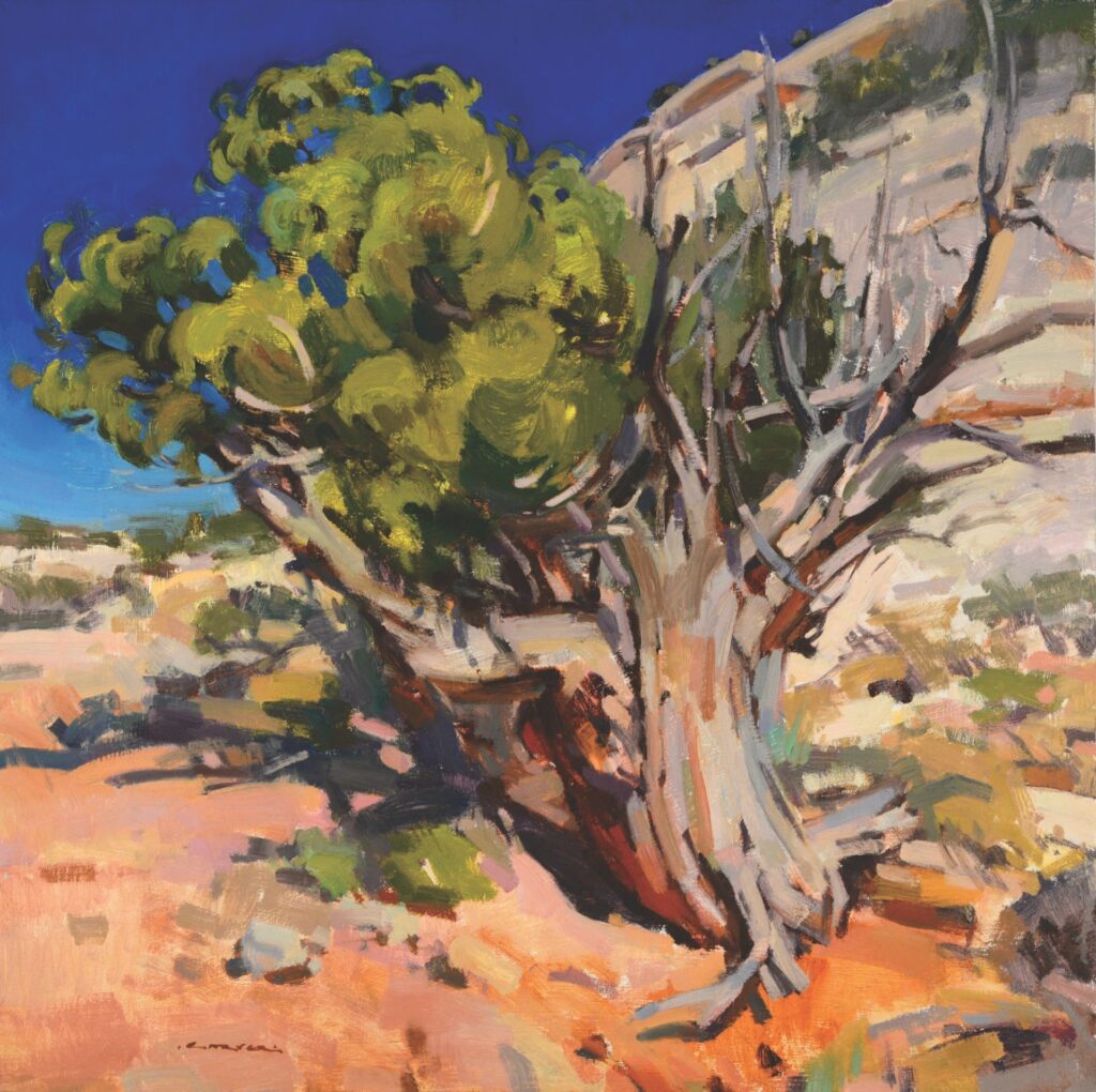 Jill Carver Western artist