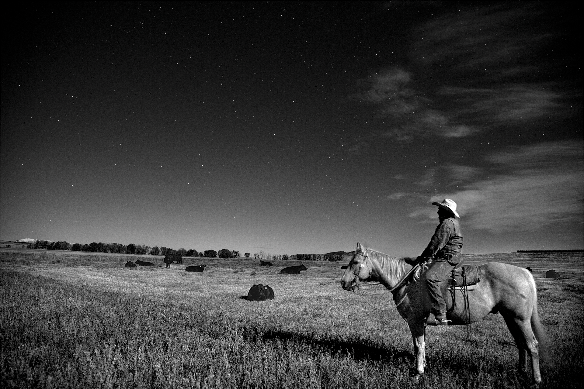 a man in a cowboy hat sits atop a bay-colored pony in a pasture, looking up at the stars.