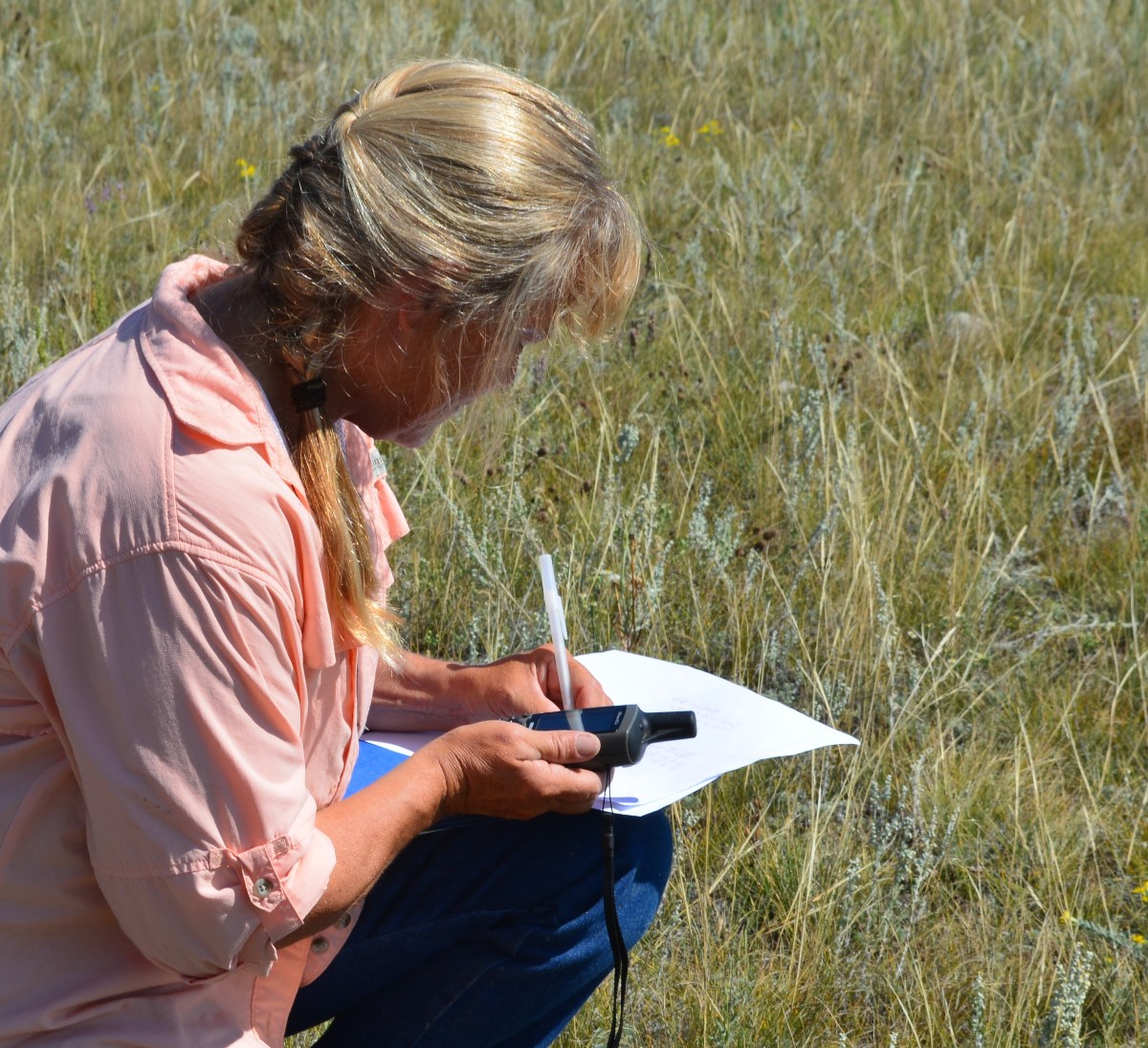 Sheepish Solutions to Water Conservation with Linda Poole On Land