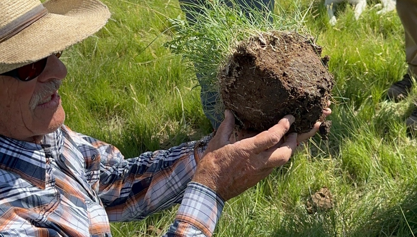 Producer showing root health of soil