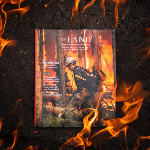 On Land Volume 10 -Spring/Summer 2025