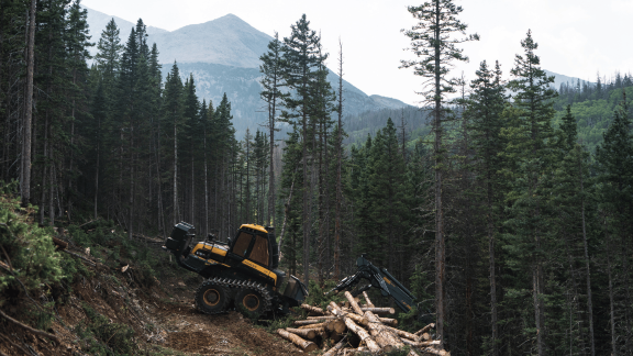 a logging vehicle in the forest with a pile of felled trees