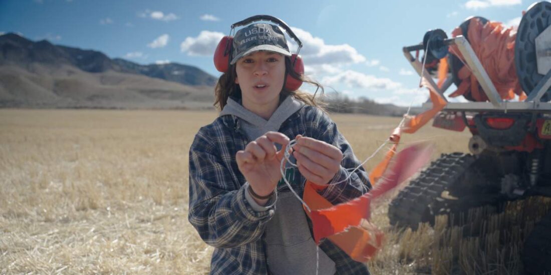 Chrissy Lambert, nonlethal conflict prevention specialist with USDA Wildlife Services