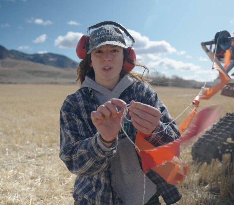 Chrissy Lambert, nonlethal conflict prevention specialist with USDA Wildlife Services