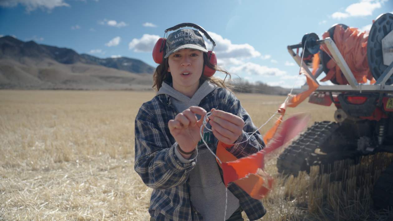 Chrissy Lambert, nonlethal conflict prevention specialist with USDA Wildlife Services