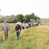 Field Day attendees walk on a deficit irrigated field.