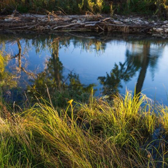 Piojo Ranch, NM stewardship.