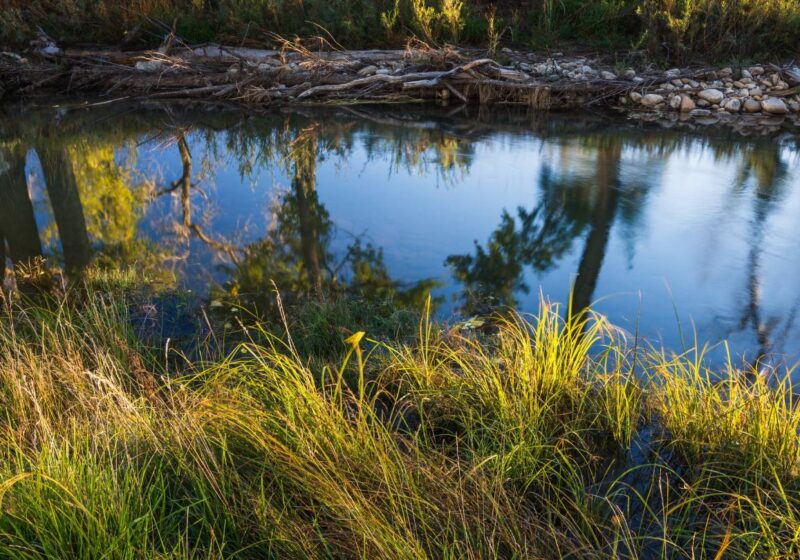 Piojo Ranch, NM stewardship.