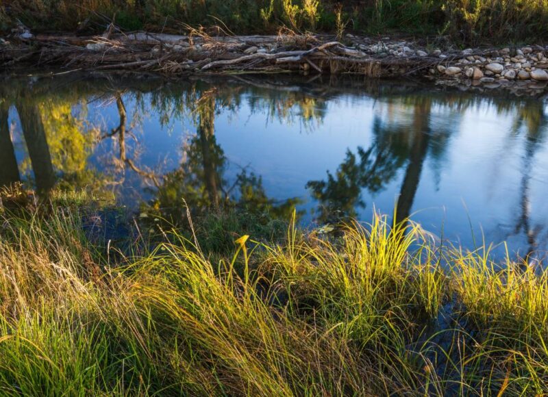 Piojo Ranch, NM stewardship.