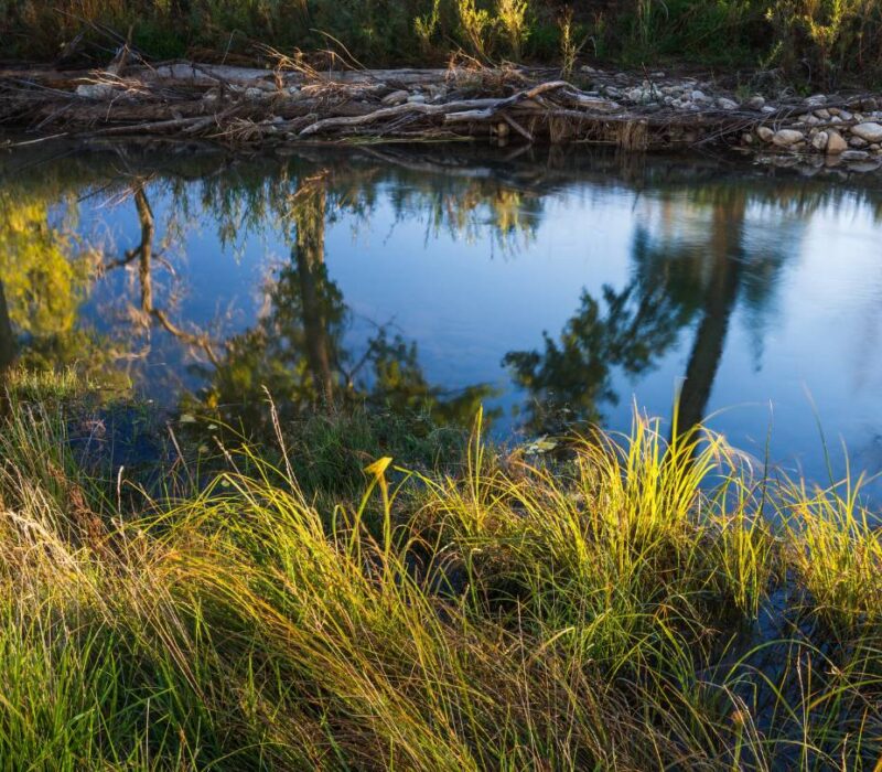 Piojo Ranch, NM stewardship.