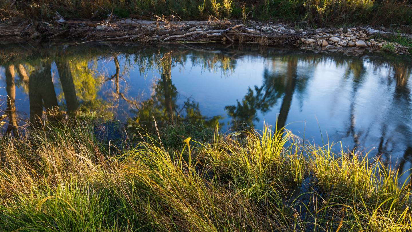 Piojo Ranch, NM stewardship.