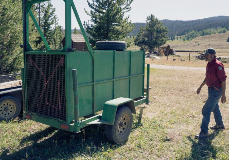 A Wyoming Game and Fish employee approaches an empty bear trap trailer used to capture grizzly bears for management action.
