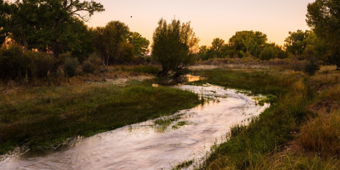 Piojo Ranch
