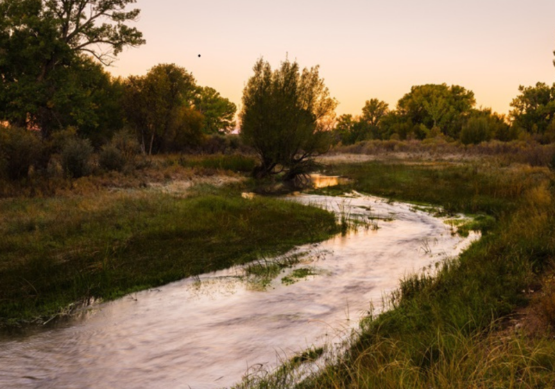 Piojo Ranch