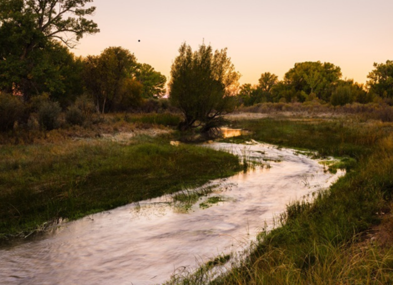 Piojo Ranch