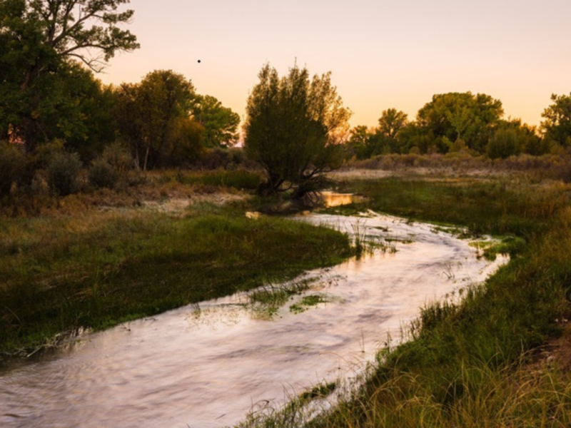 Piojo Ranch