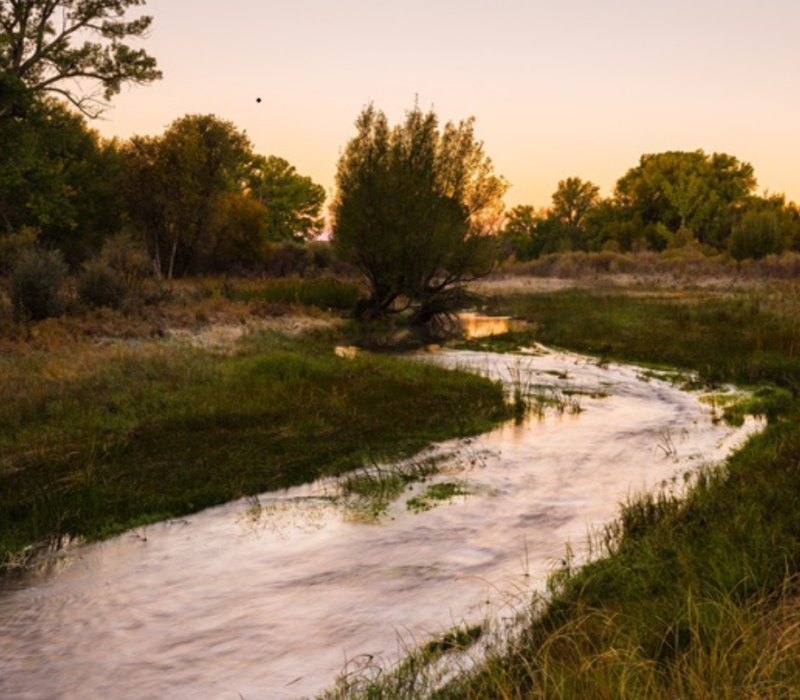 Piojo Ranch