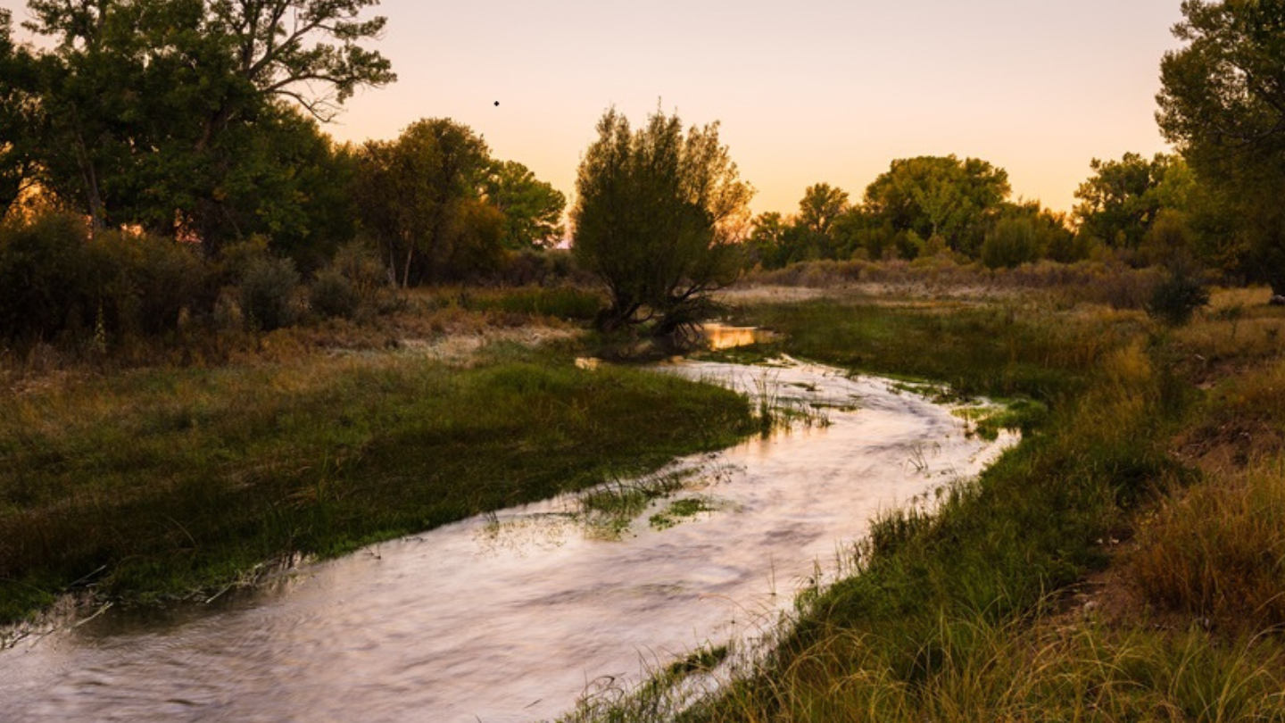 Piojo Ranch