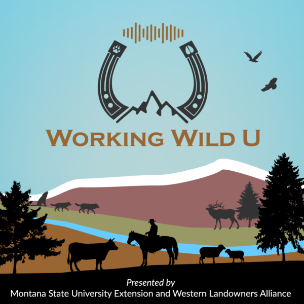 WWU_Podcast_App_Icon