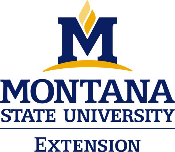 extension