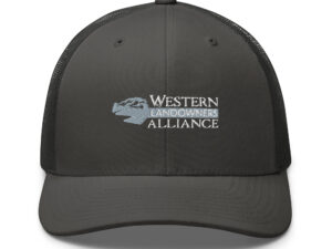 Retro Smooth Trucker Cap